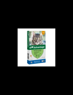 Gato Hasta 4 kg.*Advantage Discount