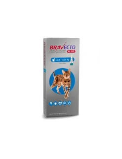 Plus Gato 2,8 a 6,25 kg.*Bravecto Sale