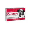 Canifort 1 Comprimido*Drag Pharma Fashion