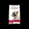 Puppy 1,2 kg.*Canine Creek New