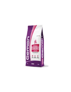 Kitten 10 kg.*Gemon Fashion