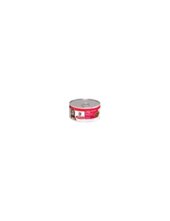 Gato Adulto Salmon Lata 156 grs.*Hills Best