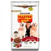 Adultos Medianos y Grandes Carne 18 kg.*Master Dog Online