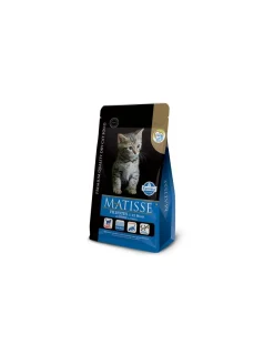 Gatitos 7,5 kg.*Matisse Hot