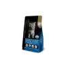 Gatitos 2 kg.*Matisse Sale