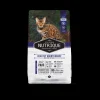 Healthy Maintenance Gato Adulto 2 kg.*Nutrique New