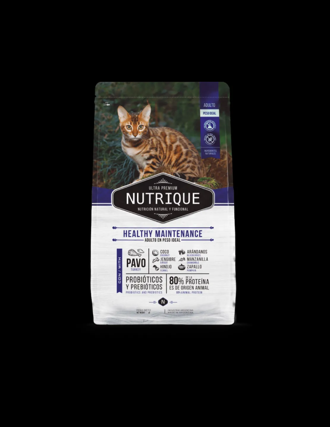 Healthy Maintenance Gato Adulto 2 kg.*Nutrique New