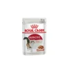 Adulto Instinctive Pouch Gato 85 grs.*Royal Canin Outlet