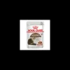 Ageing 12+ Pouch Gato 85 grs.*Royal Canin Clearance