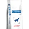 Anallergenic Perro 3 kg.*Royal Canin Sale