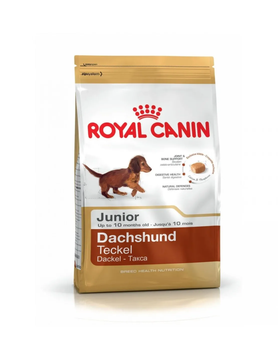 Dachshund Puppy 2,5 kg.*Royal Canin Outlet