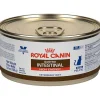 Gastrointestinal Gato Lata 145 grs.*Royal Canin Outlet