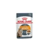 Intense Beauty Pouch Gato 85 grs.*Royal Canin Online