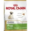 Pug Puppy 2,5 kg.*Royal Canin Sale