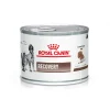 Recovery Perros y Gatos Lata 145 grs.*Royal Canin Clearance