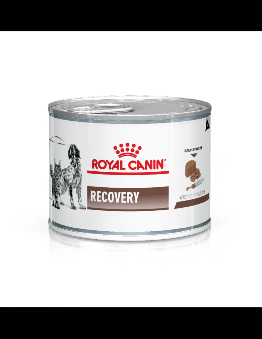 Recovery Perros y Gatos Lata 145 grs.*Royal Canin Clearance
