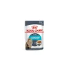 Urinary Care Pouch Gato 85 grs.*Royal Canin Discount