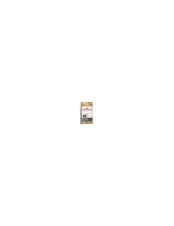 Yorkshire Adulto 2,5 kg.*Royal Canin Hot