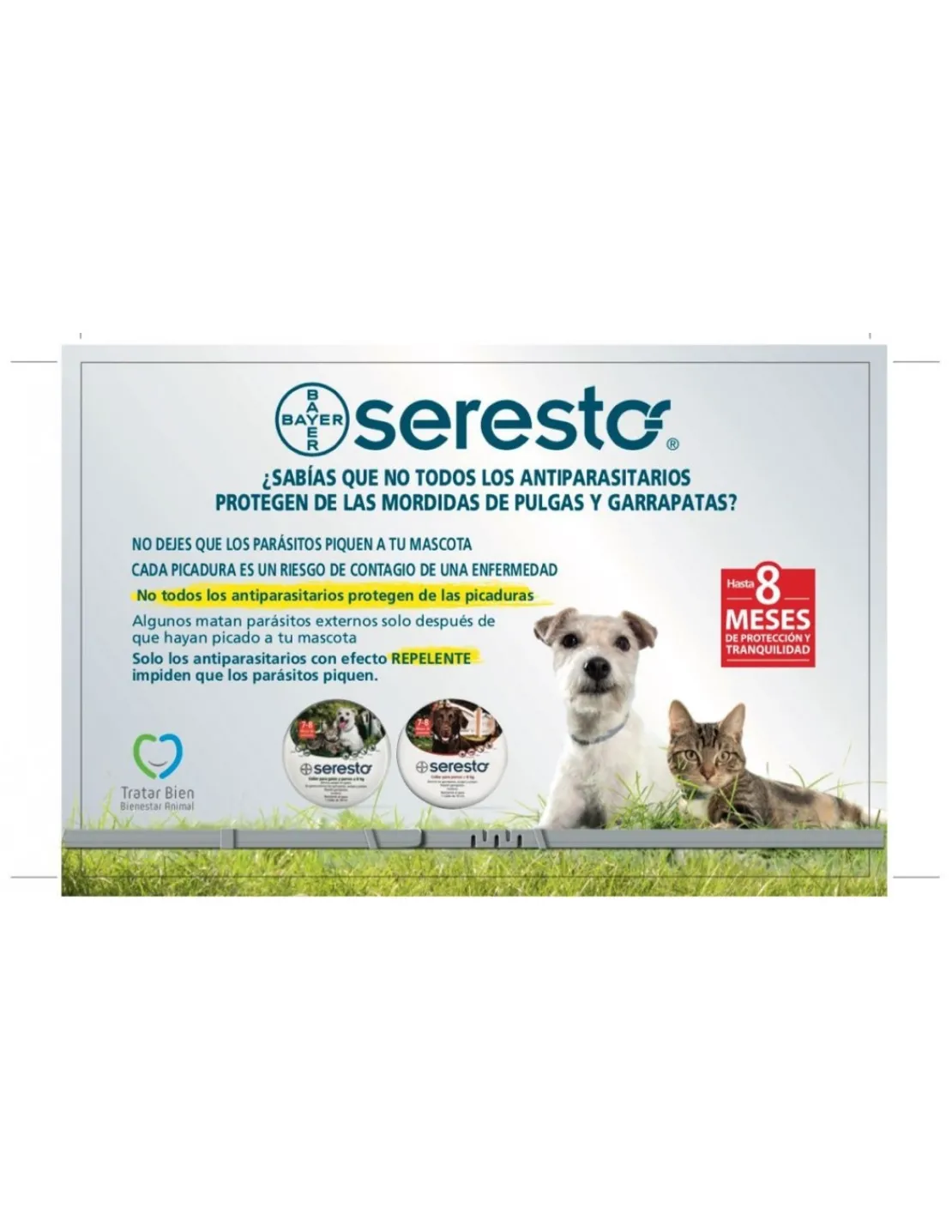 Collar Antiparasitario Gatos y Perros Hasta 8 Kg.*Seresto New