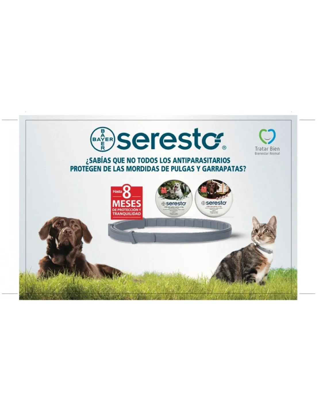 Collar Antiparasitario Gatos y Perros Hasta 8 Kg.*Seresto New