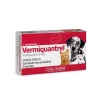 Vermiquantrel 1 Comprimido*Drag Pharma Hot