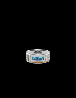 Convalescence Gato Lata 85 grs.*Vet Life Outlet
