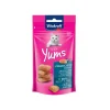 Yums Salmon 40 grs.*Vitakraft Clearance
